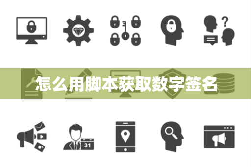 怎么用脚本获取数字签名