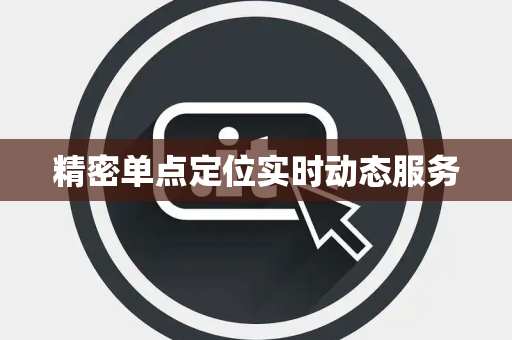 精密单点定位实时动态服务