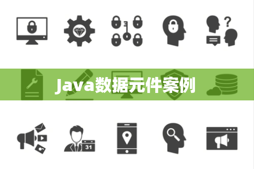 Java数据元件案例