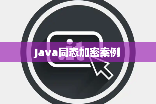 Java同态加密案例
