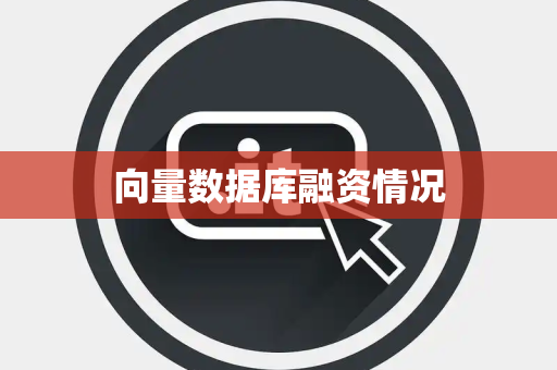 向量数据库融资情况