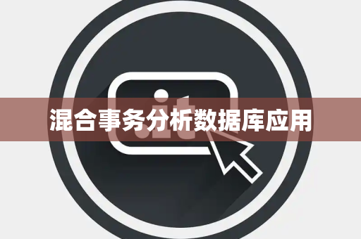混合事务分析数据库应用