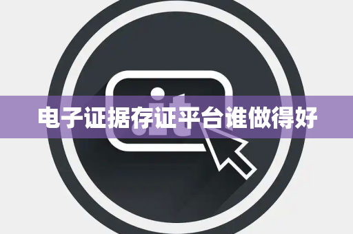 电子证据存证平台谁做得好