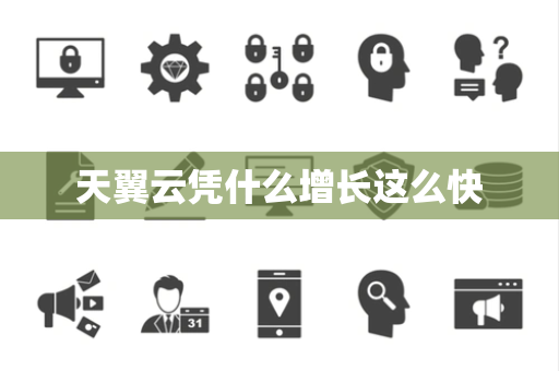 天翼云凭什么增长这么快