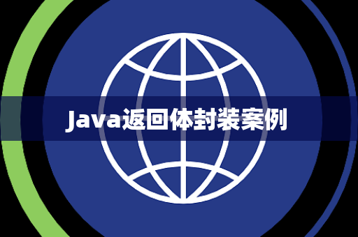 Java返回体封装案例