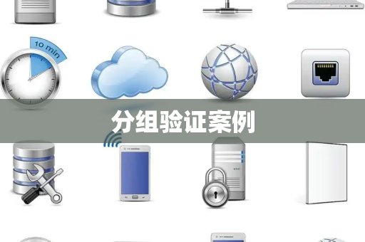 分组验证案例
