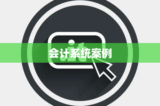 会计系统案例