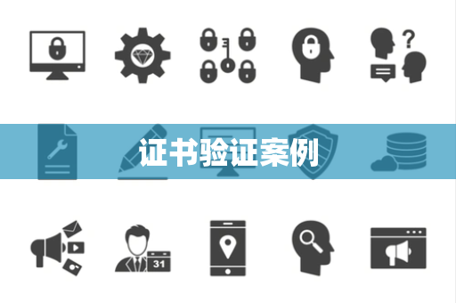证书验证案例
