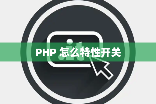 PHP 怎么特性开关