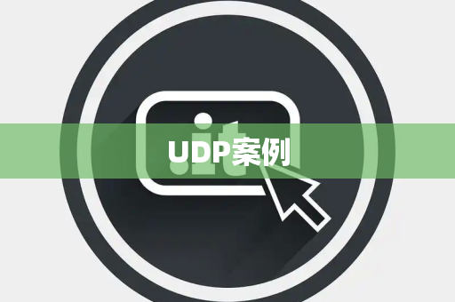 UDP案例