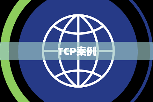 TCP案例