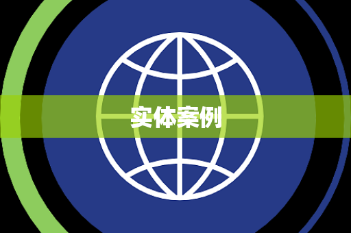 实体案例