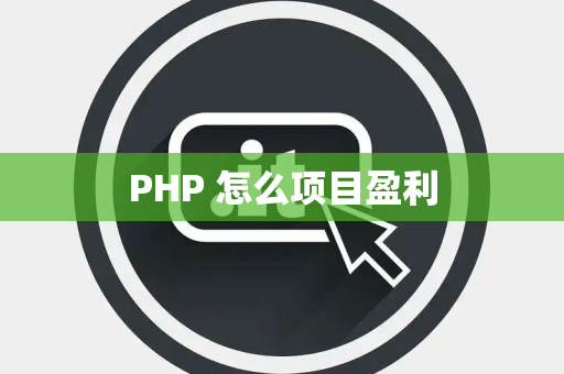 PHP 怎么项目盈利