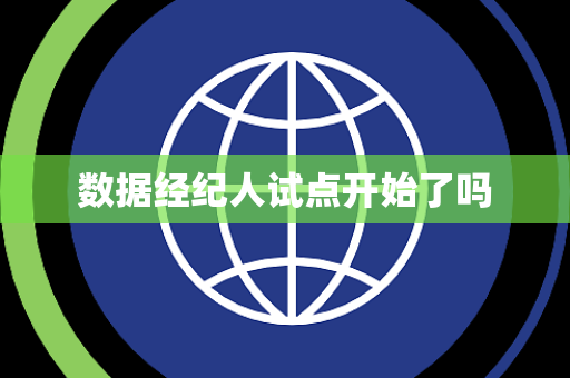 数据经纪人试点开始了吗