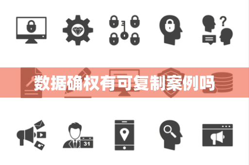 数据确权有可复制案例吗
