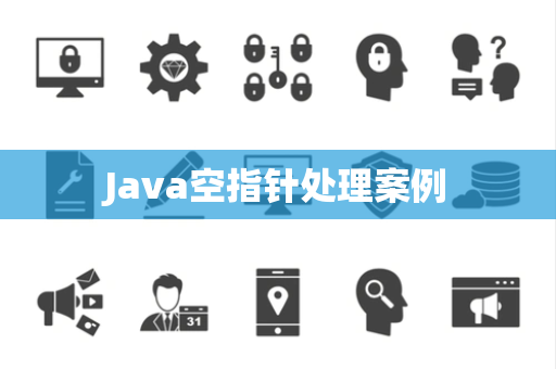 Java空指针处理案例