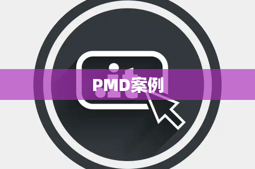 PMD案例