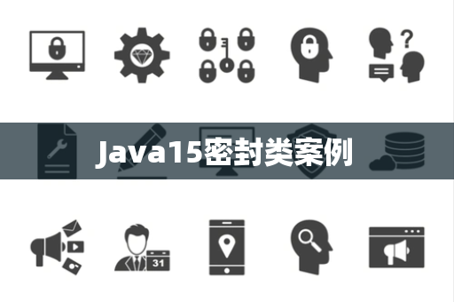 Java15密封类案例