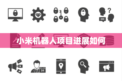 小米机器人项目进展如何