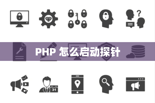 PHP 怎么启动探针