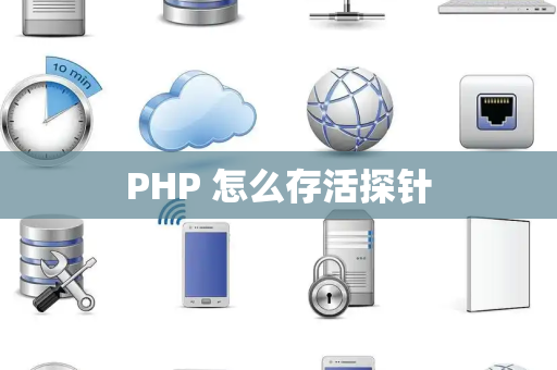 PHP 怎么存活探针