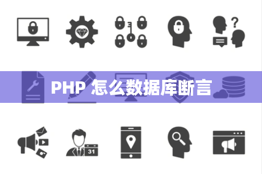 PHP 怎么数据库断言