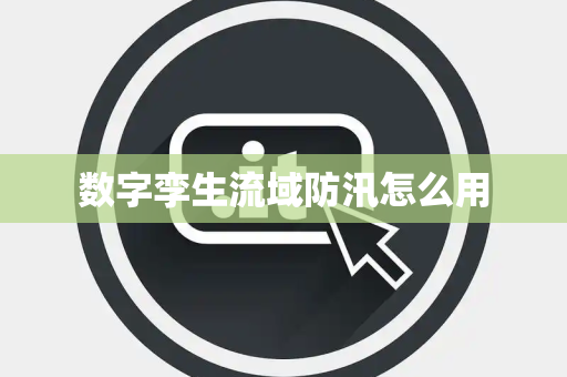 数字孪生流域防汛怎么用