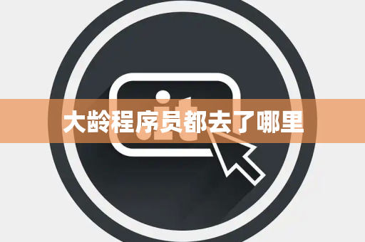 大龄程序员都去了哪里