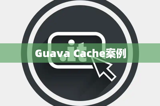 Guava Cache案例
