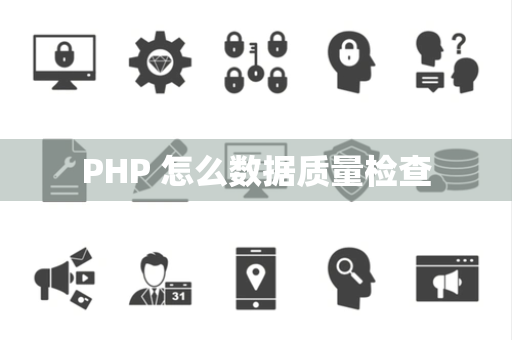 PHP 怎么数据质量检查