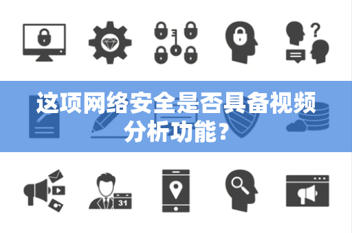 这项网络安全是否具备视频分析功能？