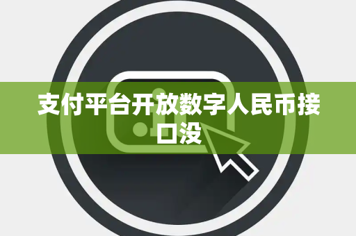 支付平台开放数字人民币接口没