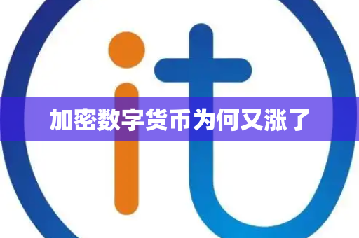 加密数字货币为何又涨了