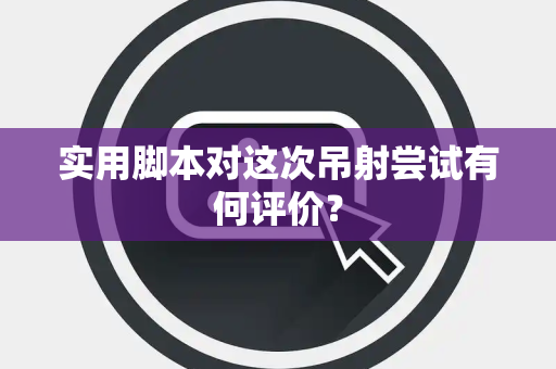实用脚本对这次吊射尝试有何评价？