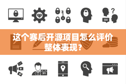 这个赛后开源项目怎么评价整体表现？