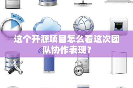 这个开源项目怎么看这次团队协作表现？