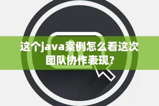 这个java案例怎么看这次团队协作表现？