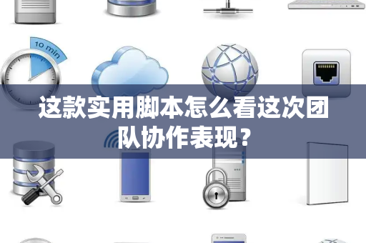 这款实用脚本怎么看这次团队协作表现？