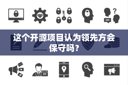 这个开源项目认为领先方会保守吗？