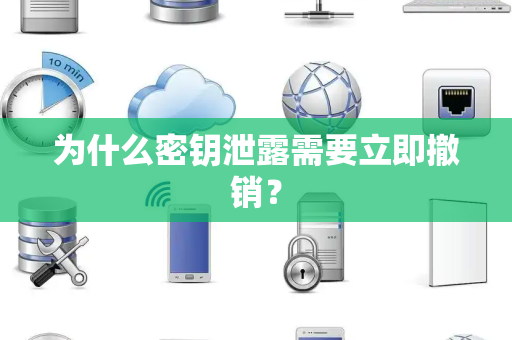 为什么密钥泄露需要立即撤销? 为什么密钥泄露需要立即撤销?