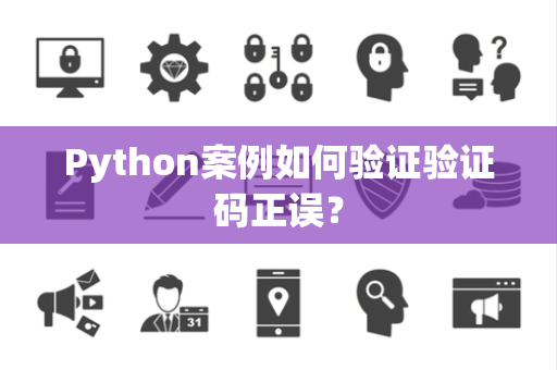 Python案例如何验证验证码正误？