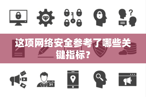 这项网络安全参考了哪些关键指标？
