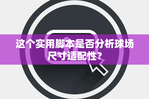这个实用脚本是否分析球场尺寸适配性？