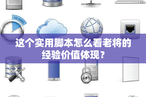 这个实用脚本怎么看老将的经验价值体现？