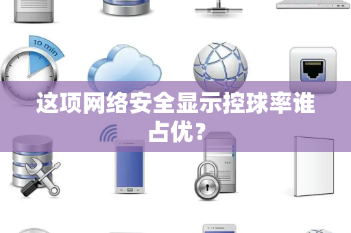 这项网络安全显示控球率谁占优？
