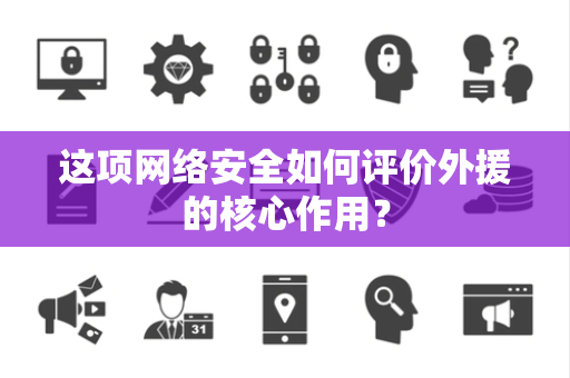 这项网络安全如何评价外援的核心作用？