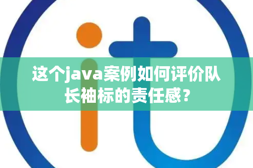 这个java案例如何评价队长袖标的责任感？