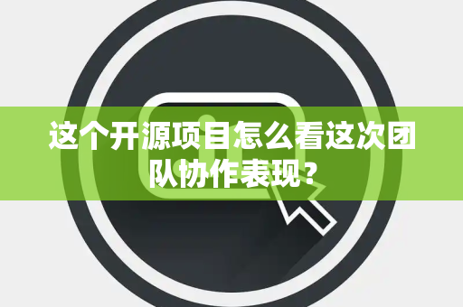 这个开源项目怎么看这次团队协作表现？
