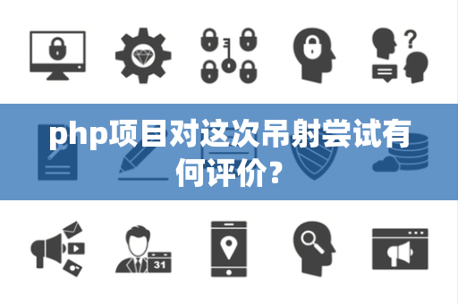 php项目对这次吊射尝试有何评价？