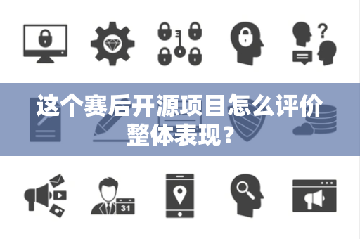 这个赛后开源项目怎么评价整体表现？